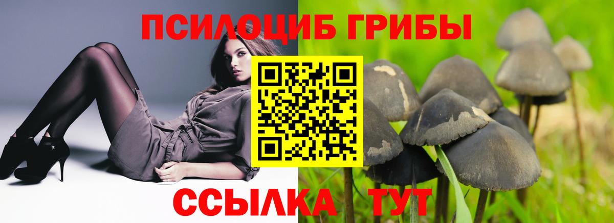 Галлюциногенные грибы GOLDEN TEACHER Полевской